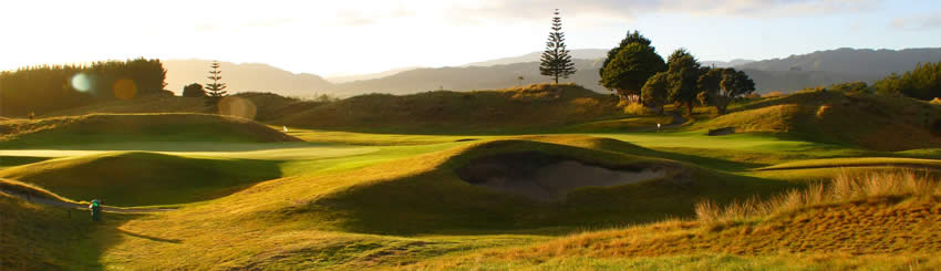 The Kapiti Coast Community